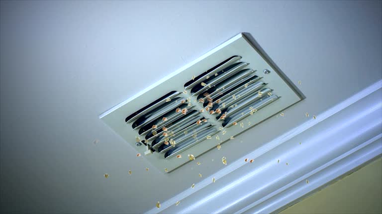 Best Best Air Duct Cleaning Company  in Milton, PA